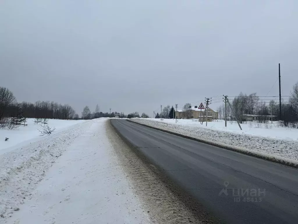 Участок в Владимирская область, Александровский район, Каринское ... - Фото 1