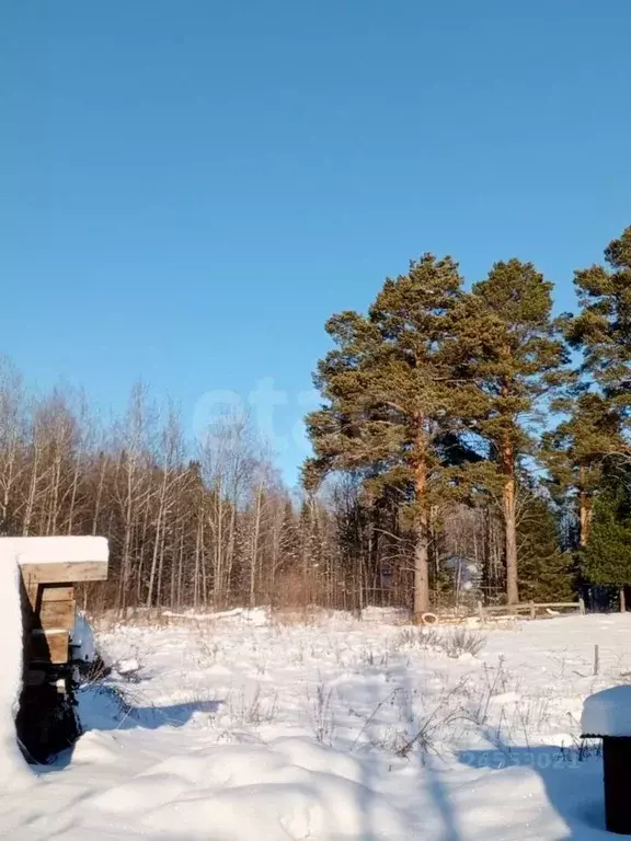 Участок в Томская область, Томский район, с. Корнилово Новая ул. (5.8 ... - Фото 1