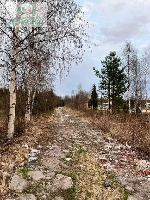 Участок в Архангельская область, Приморский муниципальный округ, СНТ ... - Фото 1