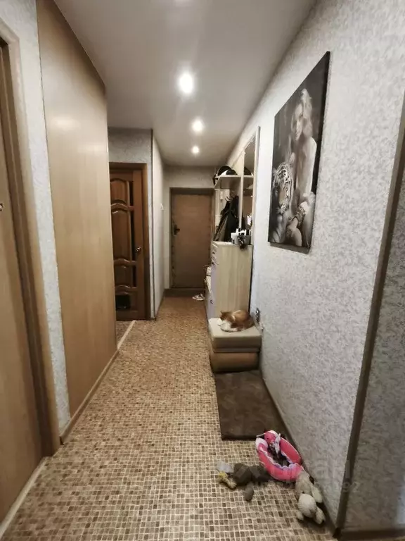 3-к кв. Волгоградская область, Волгоград Пролетарская ул., 45 (69.7 м) - Фото 1