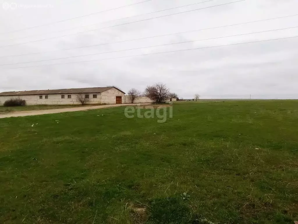 Участок в Береговое, Речная улица, 2В (7 м) - Фото 1