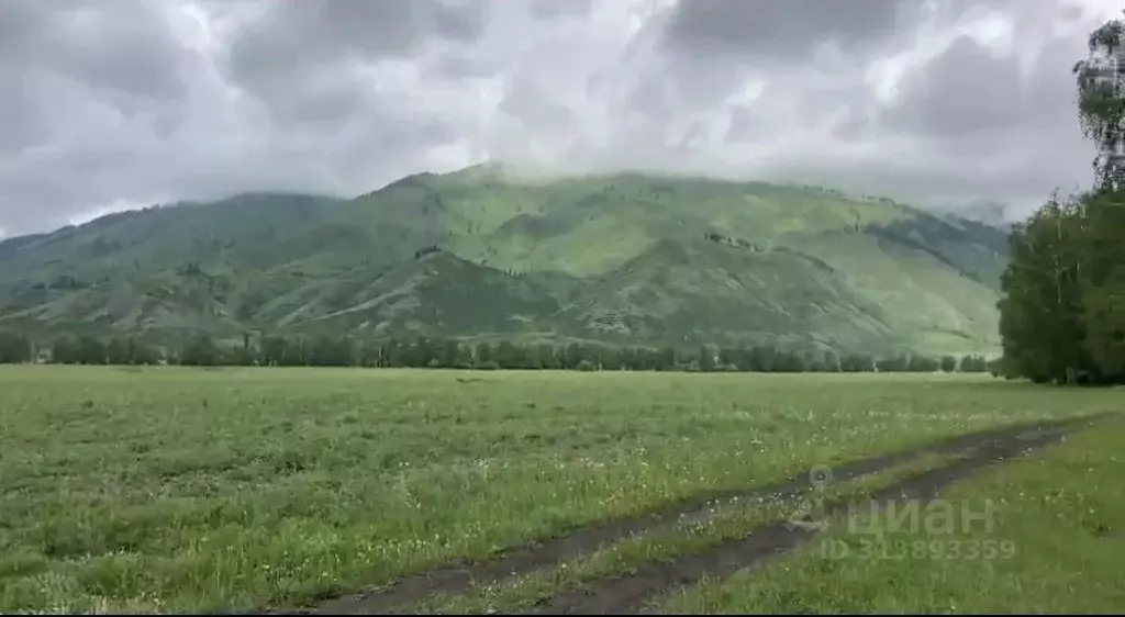 Участок в Алтай, Усть-Коксинский район, с. Катанда Спортивный пер. ... - Фото 1