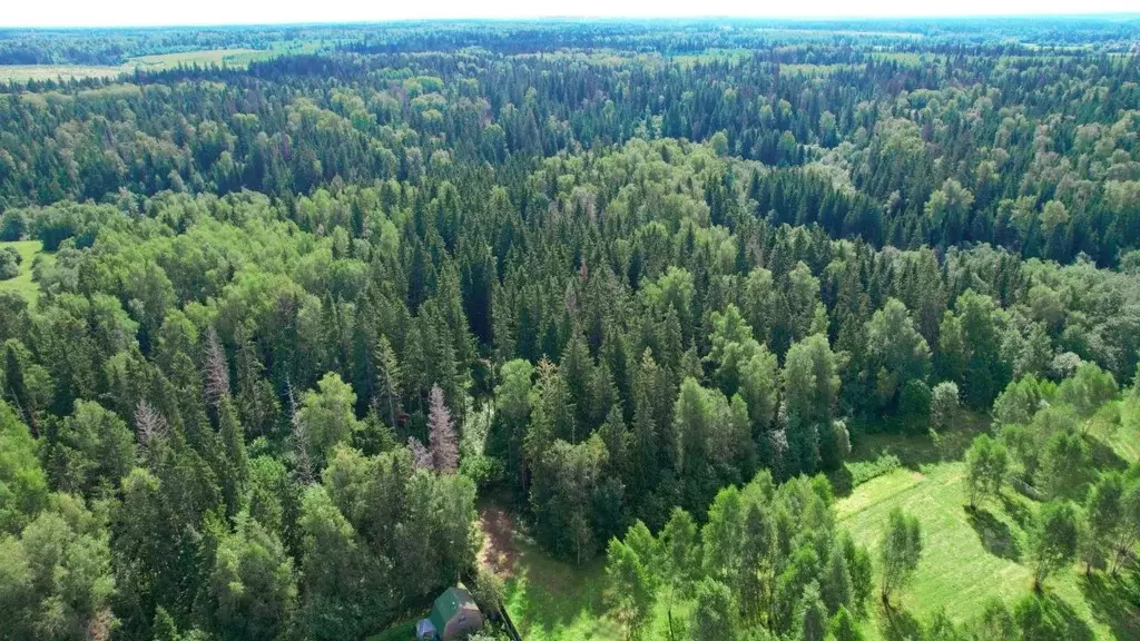 Участок в Московская область, Одинцовский городской округ, Рига лес кп ... - Фото 2