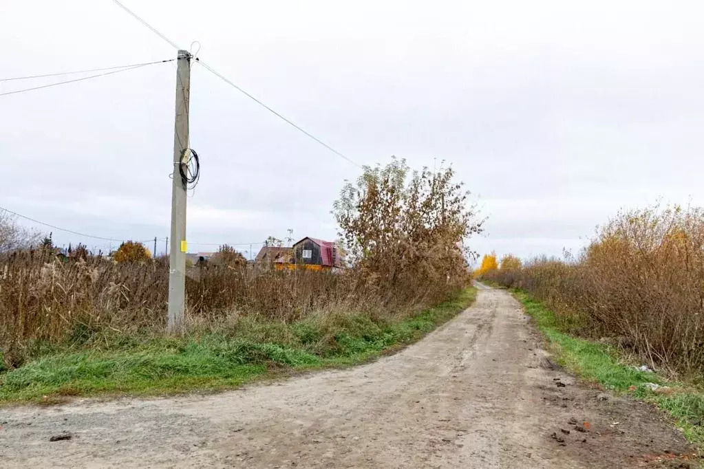 Участок в Тюменская область, Тюмень Рябинка-2 садовое товарищество,  ... - Фото 1