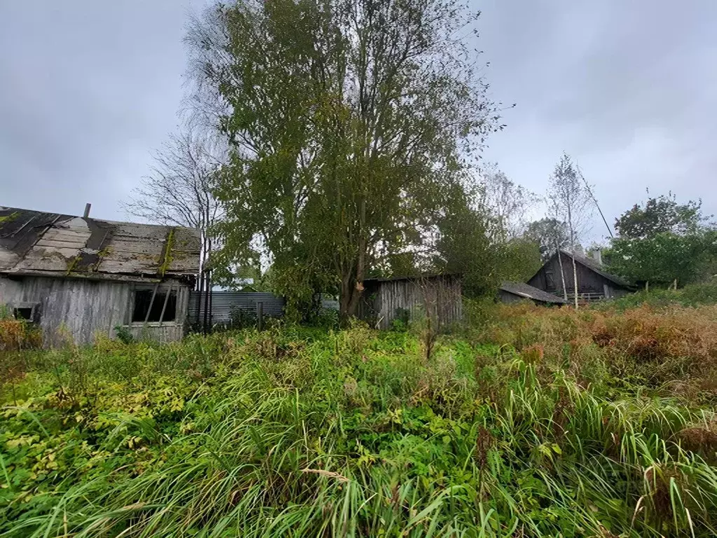 Дом в Ленинградская область, Волосовский район, Большеврудское с/пос, ... - Фото 2