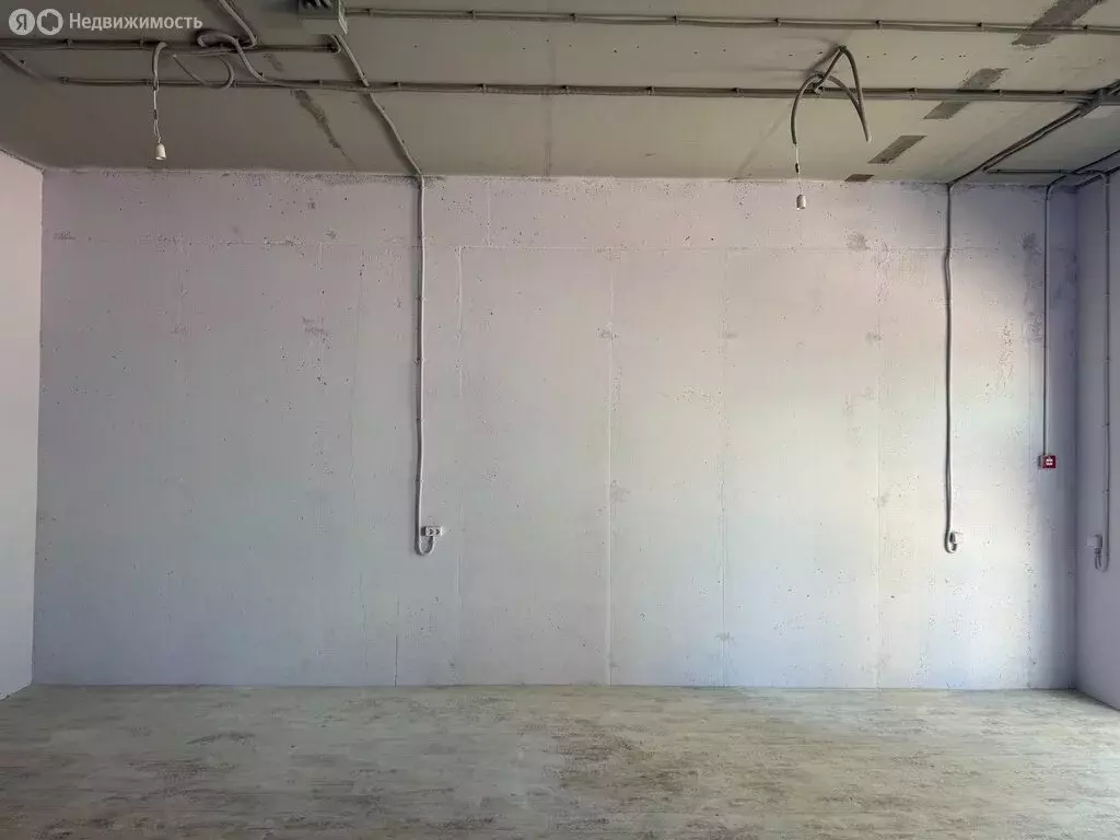 Офис (70.4 м) - Фото 2