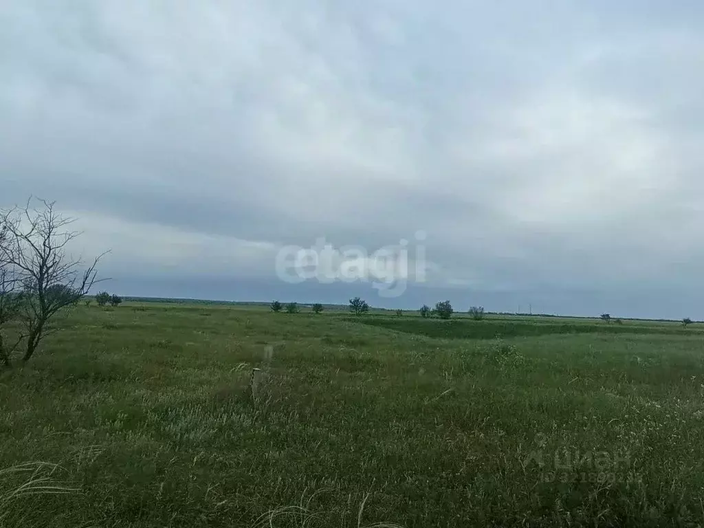 Участок в Крым, с. Ленинское ул. Садовая (922.34 сот.) - Фото 0
