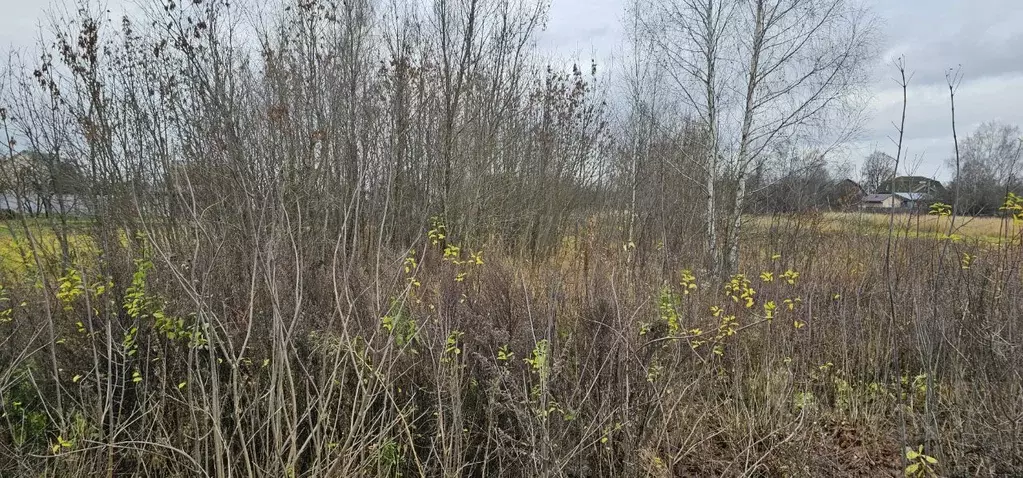 Участок в Московская область, Луховицы муниципальный округ, д. ... - Фото 1