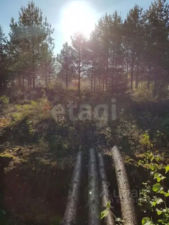Участок в Ленинградская область, Кировское городское поселение, ... - Фото 0