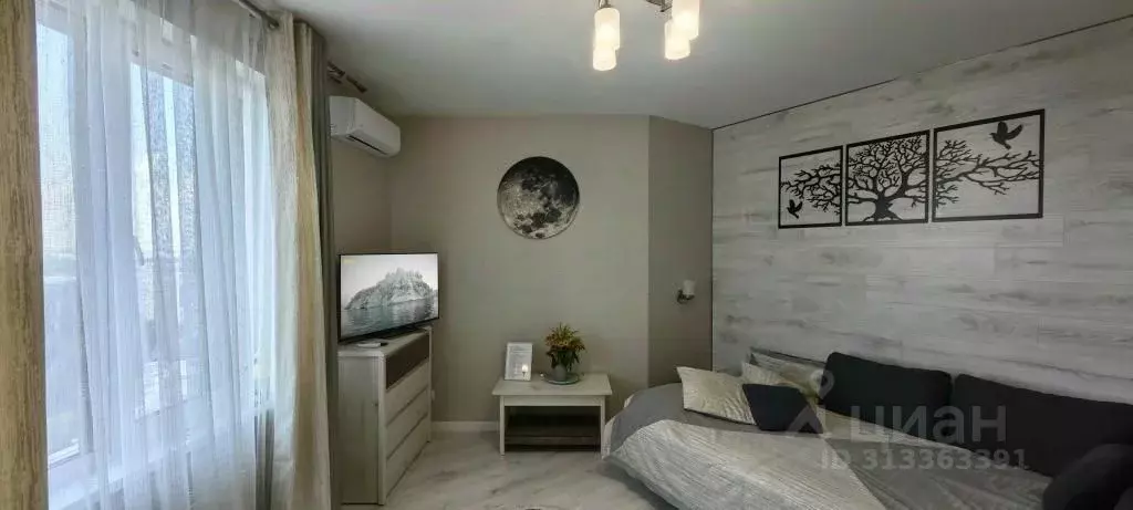 1-к кв. Воронежская область, Воронеж ул. Летчика Колесниченко, 65А ... - Фото 2