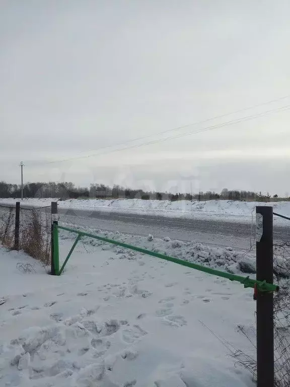 Участок 6 сот. (СНТ, ДНП) - Фото 1