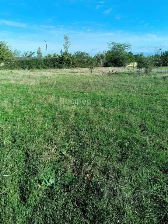 Участок в Крым, Феодосия Здоровье садоводческое товарищество,  (15.0 ... - Фото 1