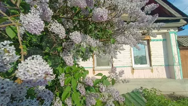 Дом 46,8 м на участке 14,6 сот. - Фото 0