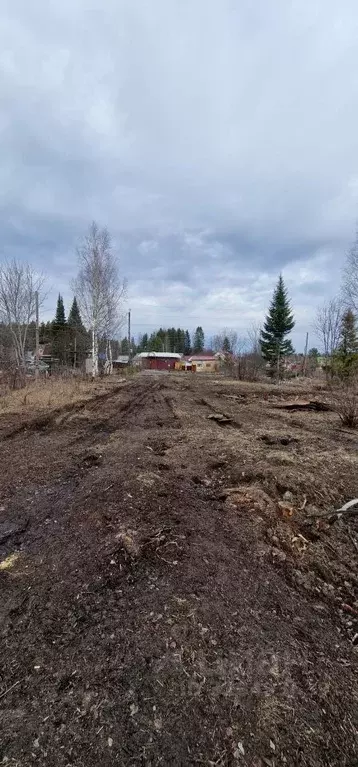 Участок в Карелия, Пряжинский район, Чалнинское с/пос, Падозерское СНТ ... - Фото 1