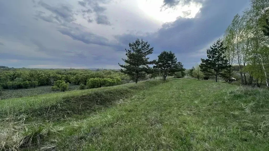 Участок в Тамбовская область, Тамбовский муниципальный округ, Липовица ... - Фото 1