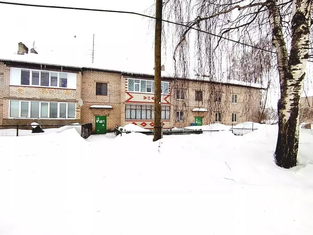 1-к кв. Нижегородская область, Нижний Новгород с. Чернуха, ул. ... - Фото 1