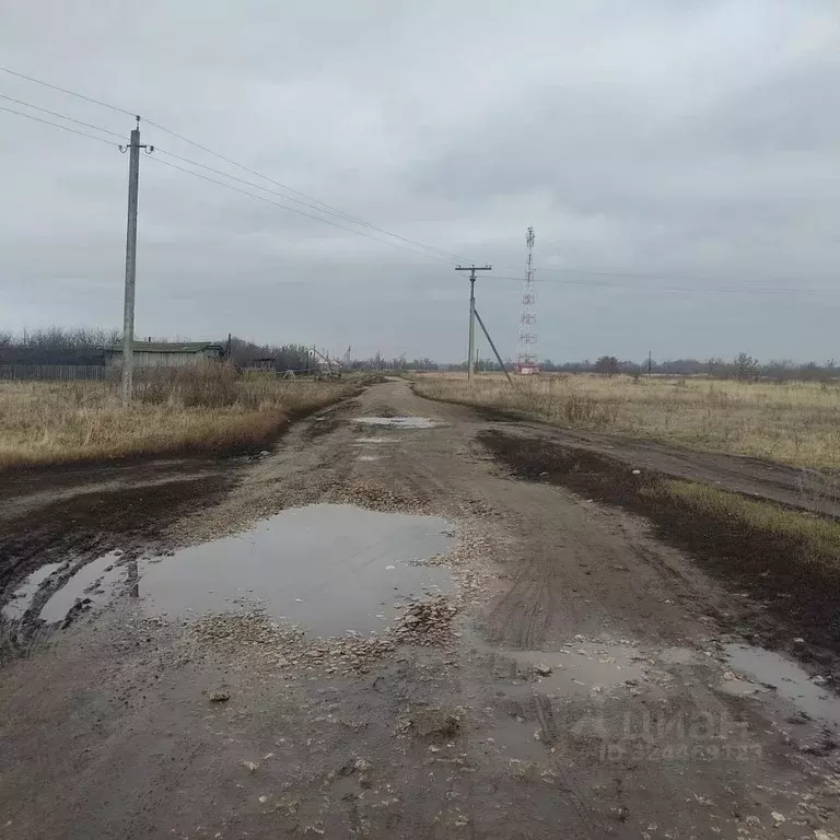 Участок в Ульяновская область, Чердаклинский район, ... - Фото 1