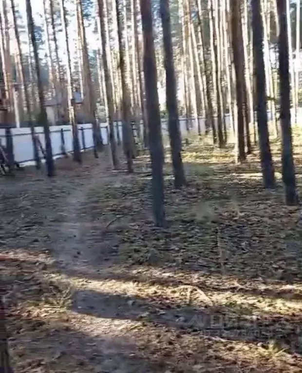 Участок в Воронежская область, с. Новая Усмань ул. Павлодарская, 6 ... - Фото 1