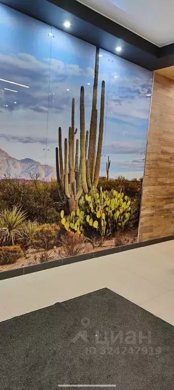 Студия Санкт-Петербург пос. Парголово, ул. Брюлловская, 5 (25.0 м) - Фото 2