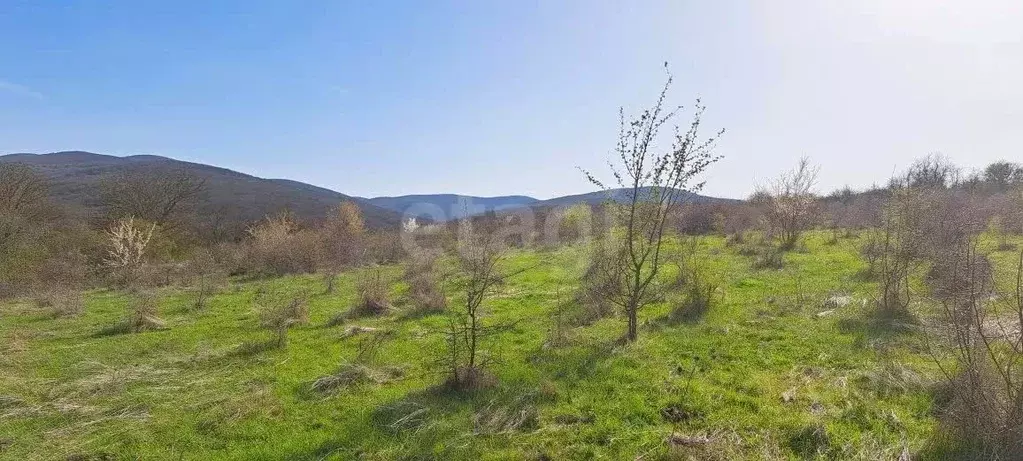 Участок в Крым, Кировский район, Старый Крым городское поселение ул. ... - Фото 2