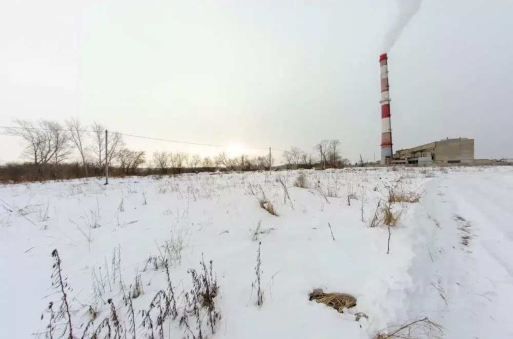 Участок в Курганская область, Шадринск ул. Труда (8.7 сот.) - Фото 1
