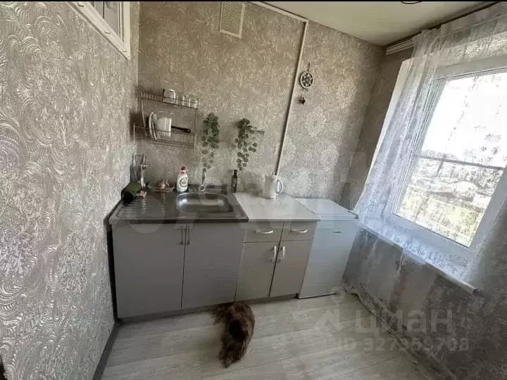 1-к кв. Адыгея, Майкоп Железнодорожная ул., 166/1 (22.0 м) - Фото 1