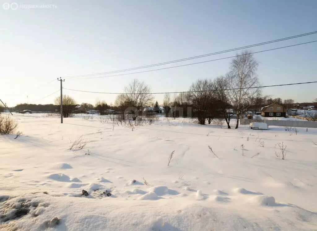 Участок в Московская область, городской округ Коломна, деревня Малое ... - Фото 1