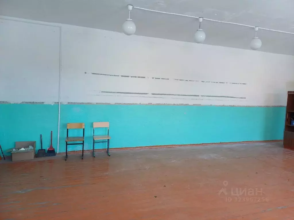 Помещение свободного назначения в Иркутская область, с. Баяндай ул. ... - Фото 2