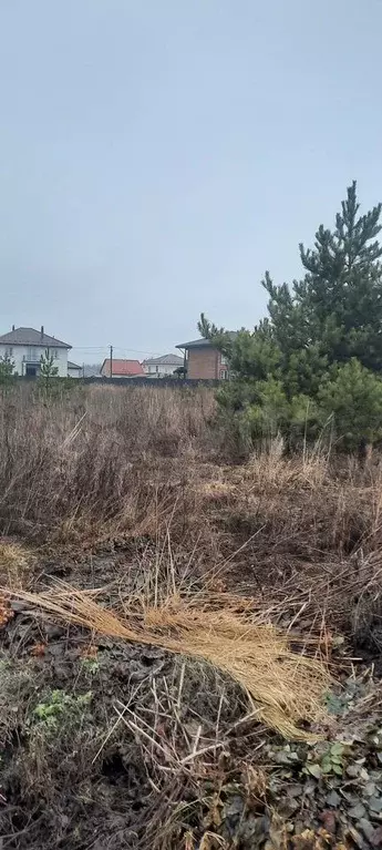 Участок 12,5 сот. (СНТ, ДНП) - Фото 0