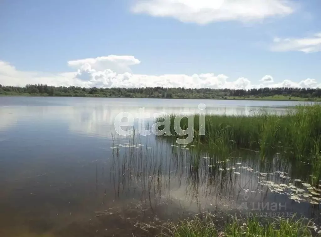 Участок в Вологодская область, Тотемский муниципальный округ, д. ... - Фото 2