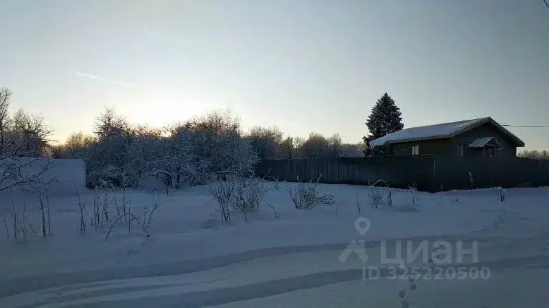 Дом в Нижегородская область, Павловский район, д. Нижнее Кожухово  (85 ... - Фото 2