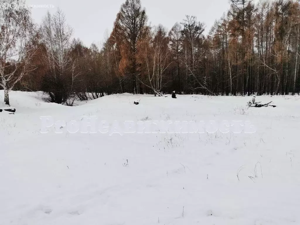 Участок в Республика Тыва, Кызылский кожуун, село Черби (10 м) - Фото 2