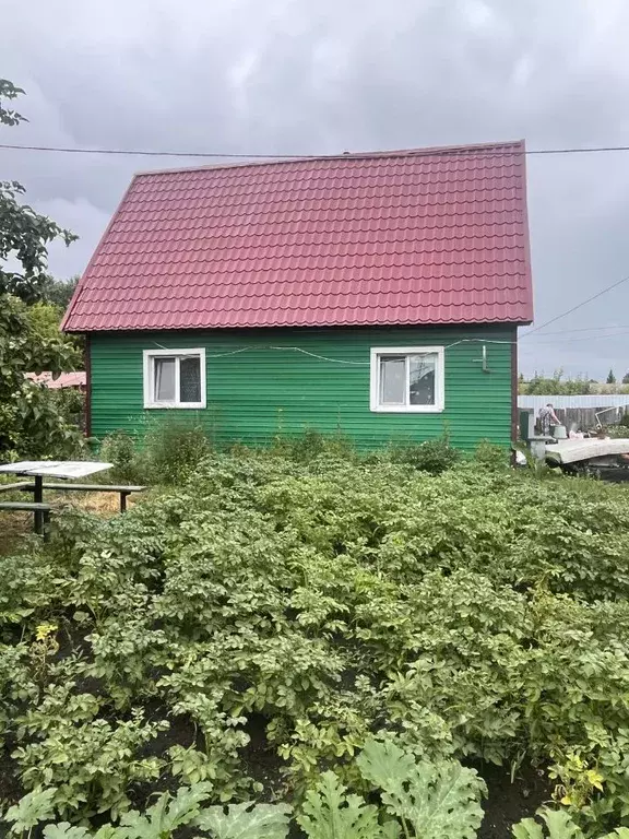 Дом в Омская область, Омск СОСН Березка тер.,  (50 м) - Фото 1