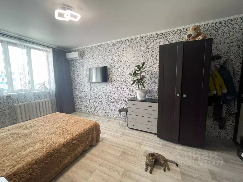 1-к кв. Оренбургская область, Оренбург Беляевская ул., 15 (37.0 м) - Фото 0