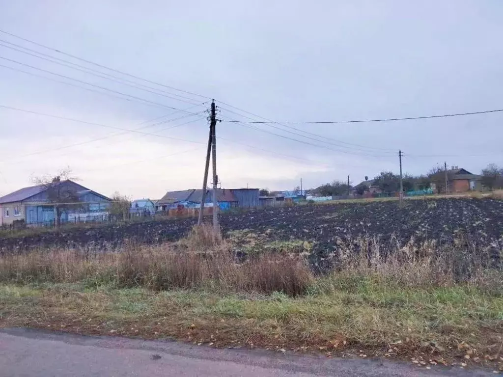 Участок в Нижегородская область, Шатковский муниципальный округ, ... - Фото 0