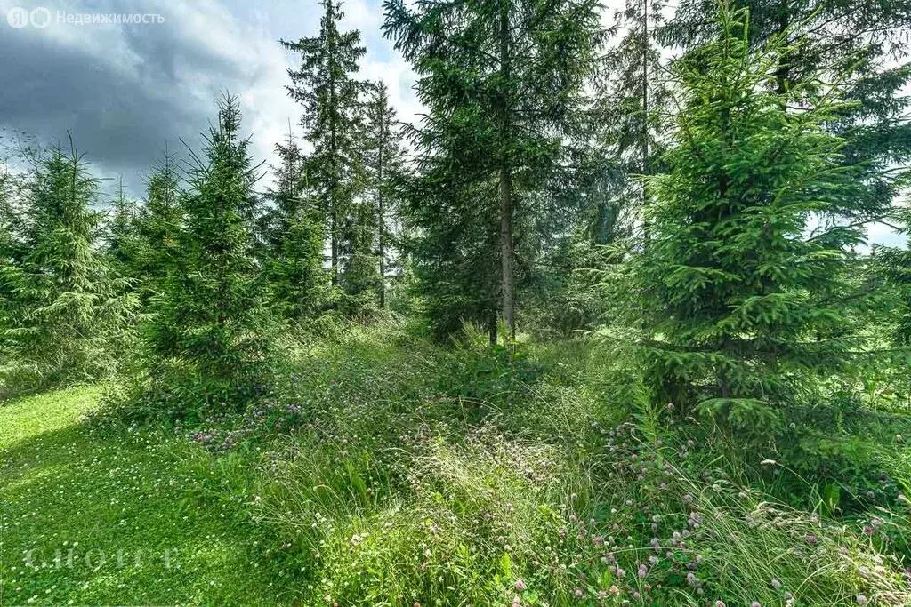 Участок в деревня Поздняково, КП Никольская слобода (24.3 м) - Фото 1