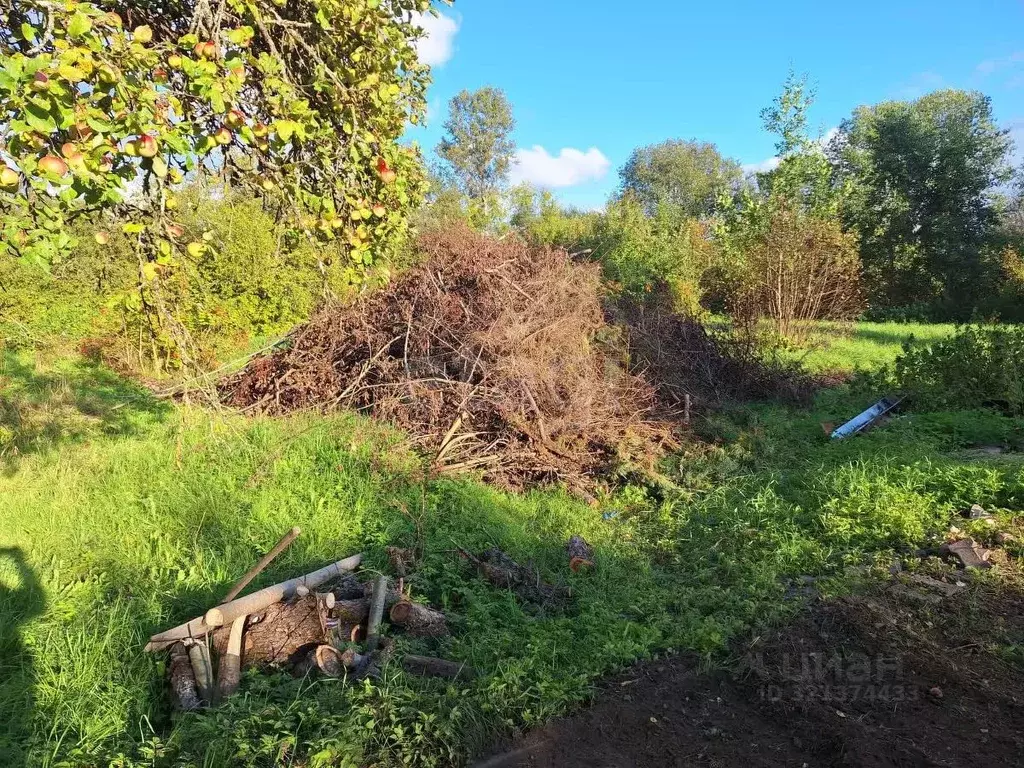 Участок в Псковская область, Островская волость, д. Городище ул. ... - Фото 1