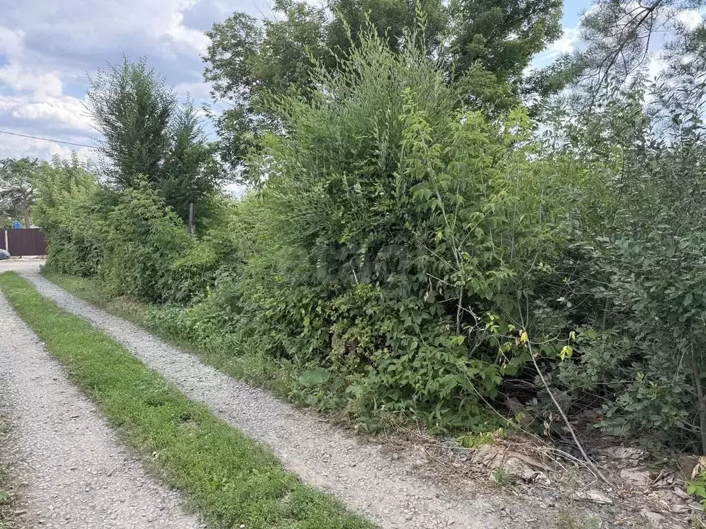 Участок в Оренбургская область, Оренбург Энергетик СНТ, ул. Садовая ... - Фото 1