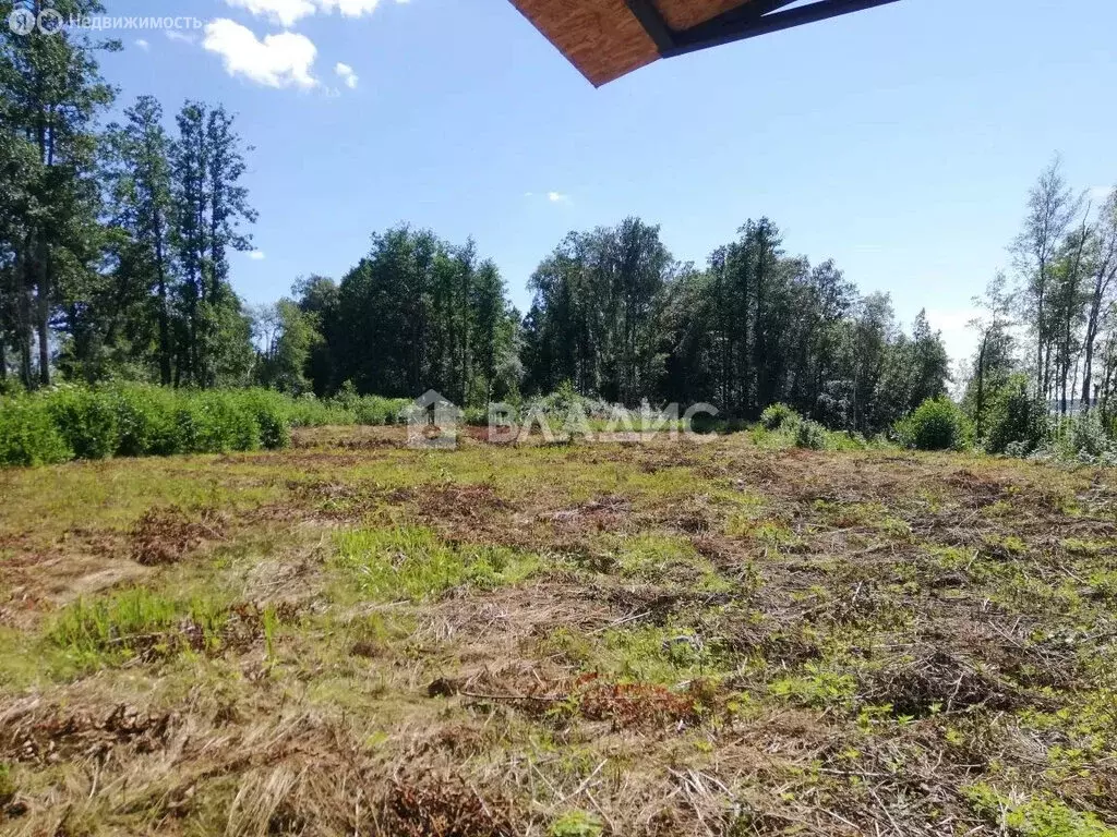 Участок в Плодовское сельское поселение, ДНТ Комсомольское (17.5 м) - Фото 1