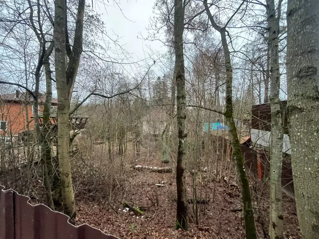 Участок в Ленинградская область, Всеволожский район, Юкковское с/пос, ... - Фото 2