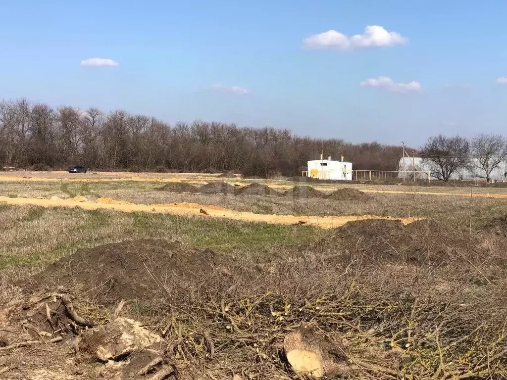 Дом в Ростовская область, Мясниковский район, Красный Крым хут. ул. ... - Фото 1