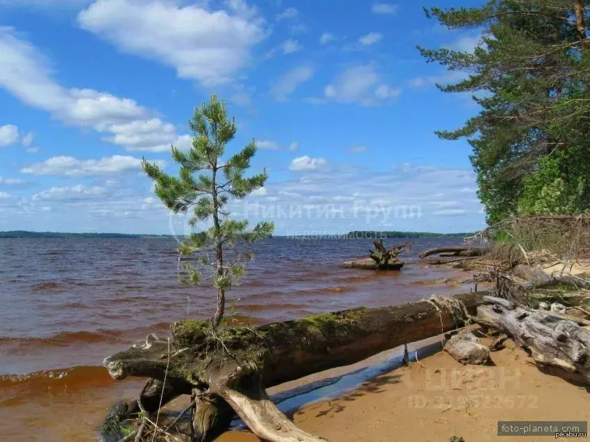 Участок в Нижегородская область, Сокольский муниципальный округ, д. ... - Фото 1