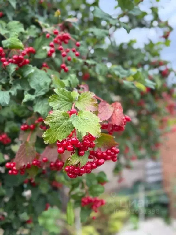 Дом в Саратовская область, Энгельс Водопроводный проезд, 56 (74 м) - Фото 2