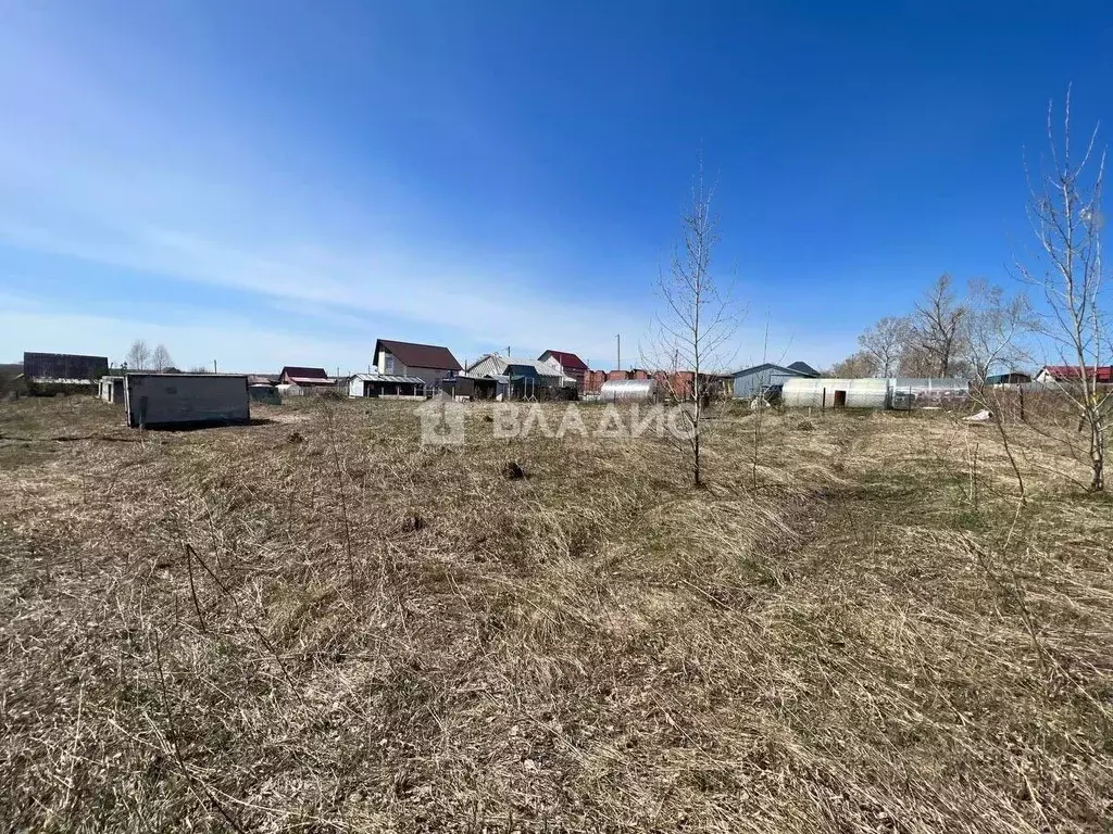 Участок в Алтайский край, Барнаул городской округ, пос. Центральный ... - Фото 1