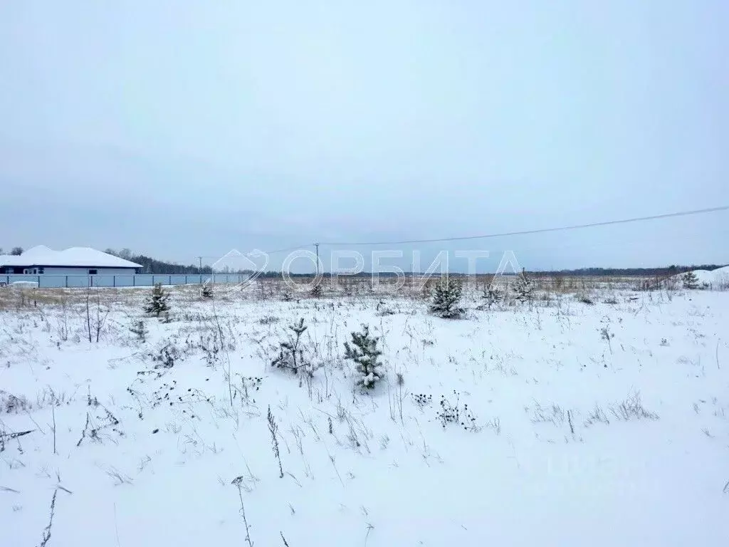 Участок в Тюменская область, Тюменский муниципальный округ, с. ... - Фото 1