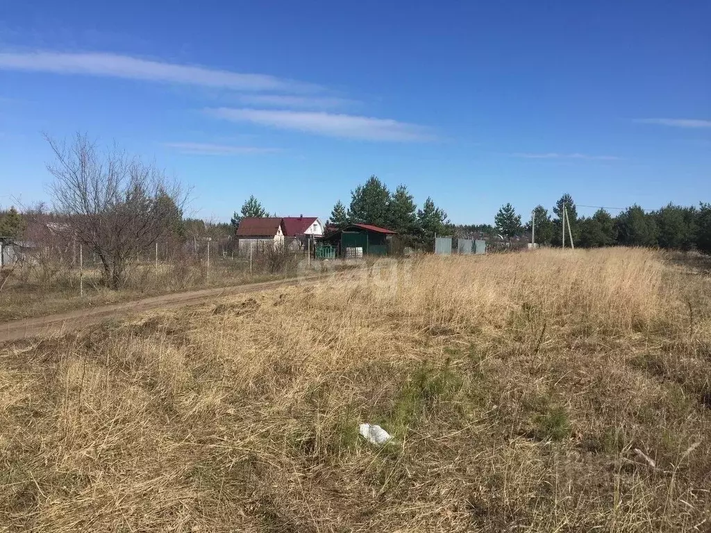 Новоживотинное Воронежская область. Погода Новоживотинное Воронежская область Рамонский.