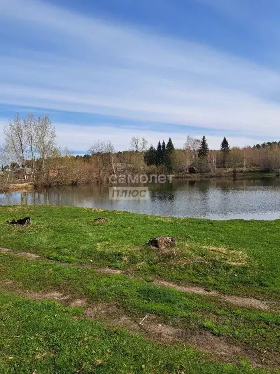 Участок в Алтайский край, Калманский район, с. Зимари ул. 1-я Клубная, ... - Фото 1