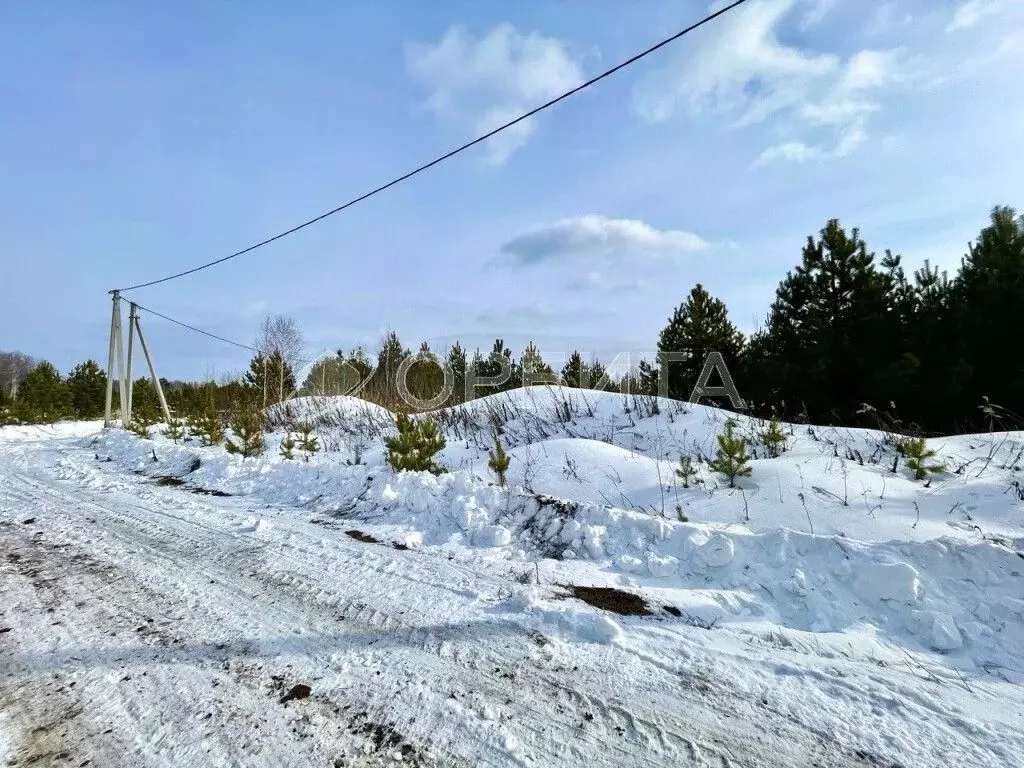 Участок в Тюменская область, Нижнетавдинский район, д. Московка 1-я ... - Фото 1