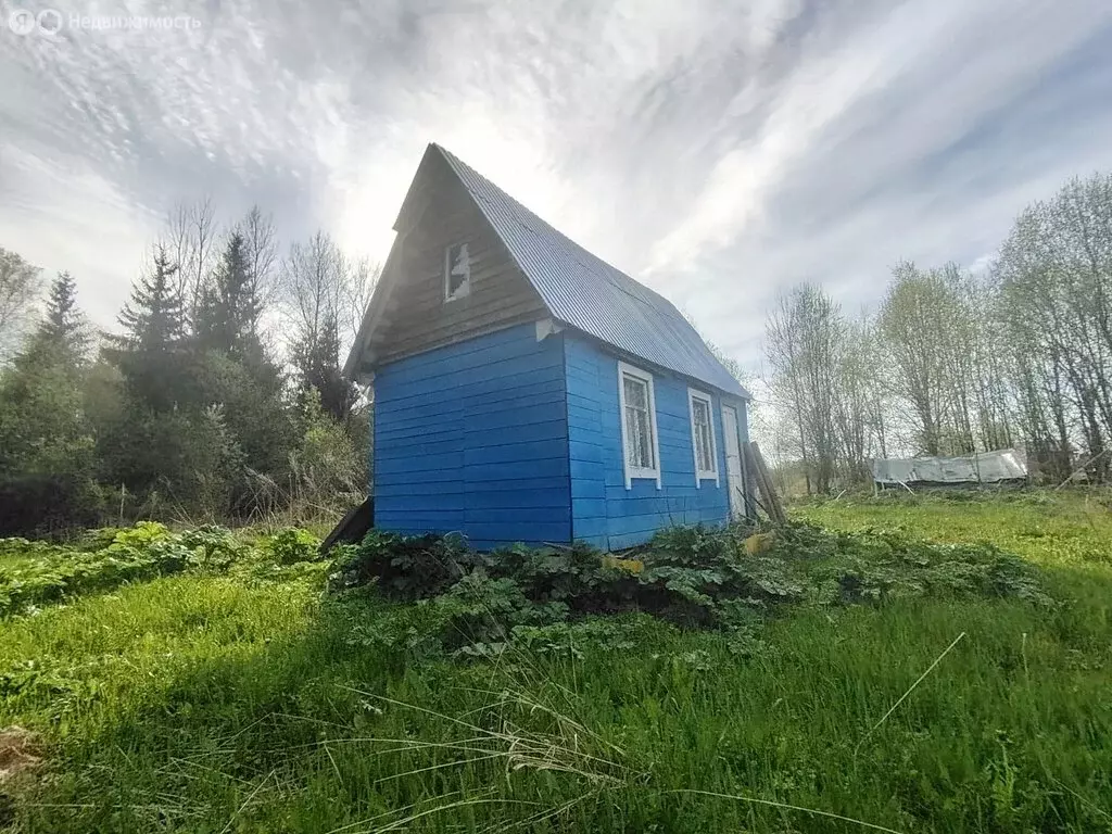 Дом в Бережковское сельское поселение, деревня Хотуча, Лесная улица ... - Фото 1