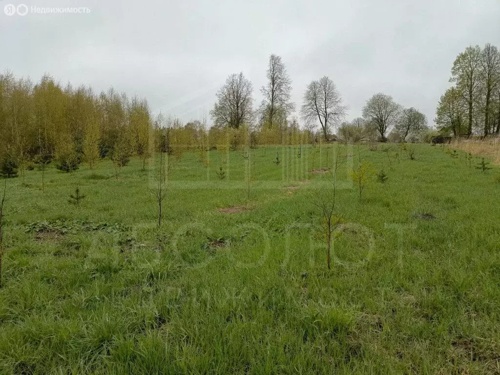 Участок в Московская область, Сергиево-Посадский городской округ, село ... - Фото 0